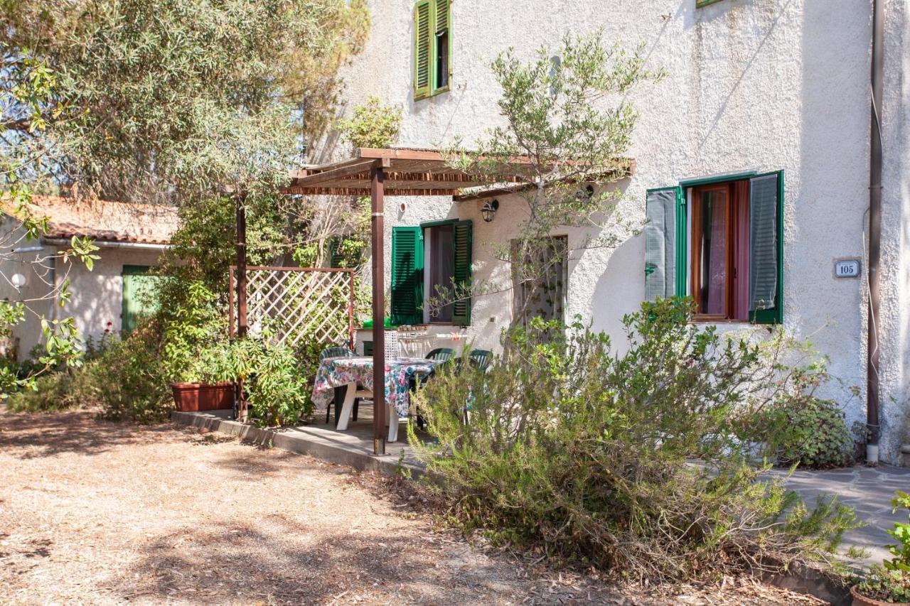 Casa L'antica Oliveta Apartament